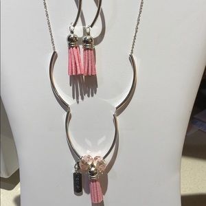 Pink Tassel earrings and necklace